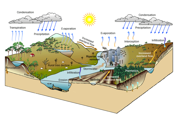 Stormwater Catchments